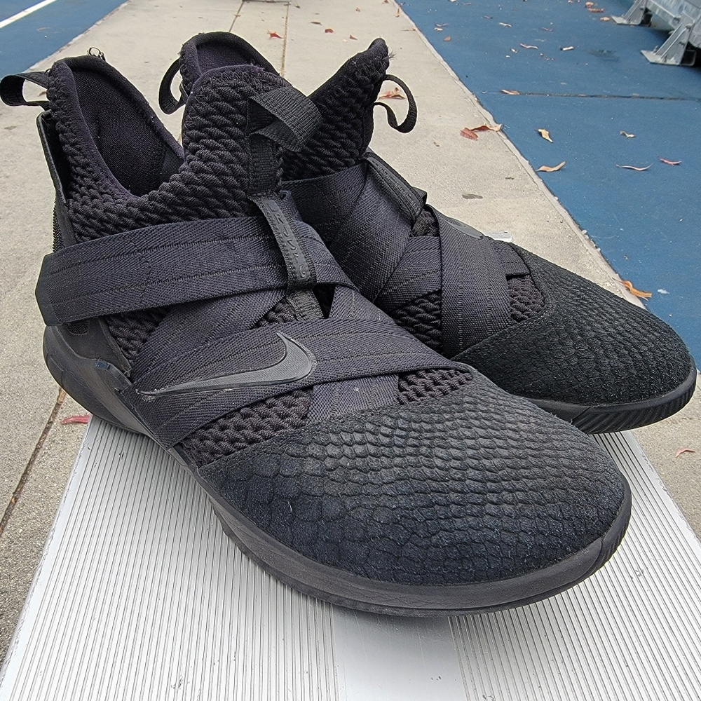Nike Lebron Basketball Shoes